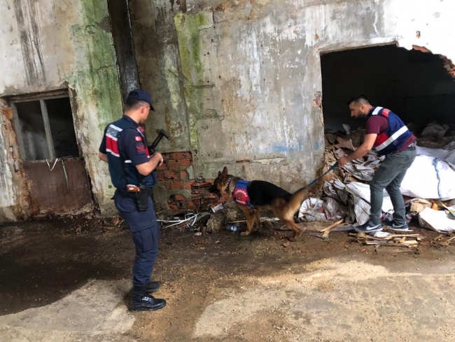 Aranan 931 kişi yakalandı